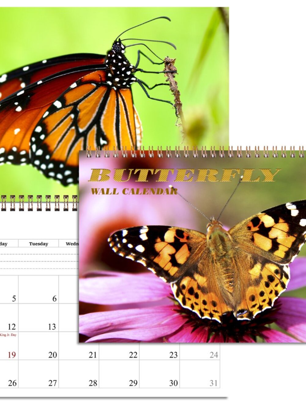 2027 Spiral-bound Wall Calendar (Butterfly) - 12 Months Desktop/Wall Calendar